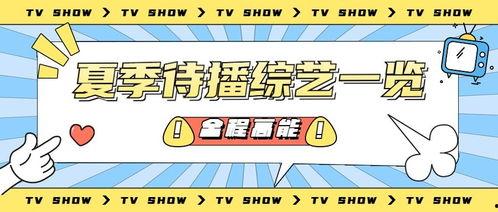 吃瓜营销号娱乐号是什么,娱乐八卦背后的网络江湖