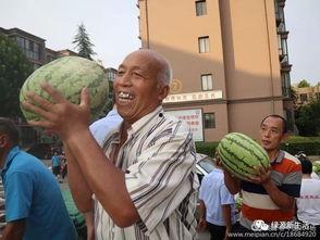 吃瓜娱乐照片大全,吃瓜娱乐照片大全大汇总