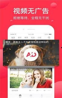 娱乐吃瓜酱奶茶视频下载