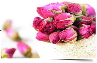 娱乐吃瓜酱带刺的玫瑰