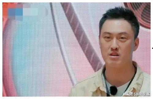 我在娱乐圈吃瓜爆红免费,揭秘幕后故事，免费爆红背后的秘密