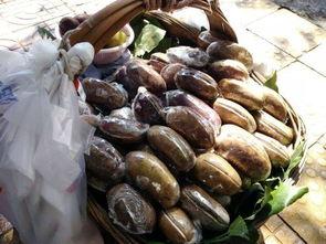 贵阳娱乐吃瓜,吃瓜群众的热门话题大盘点