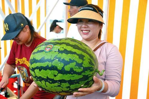 最新娱乐吃瓜,明星隐私曝光，幕后黑手浮出水面