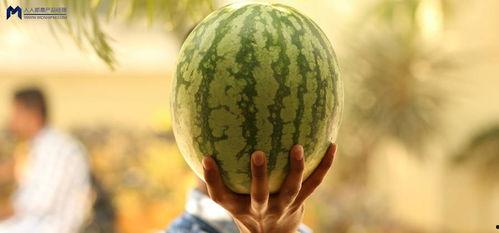 最新娱乐吃瓜,明星隐私曝光，幕后黑手浮出水面