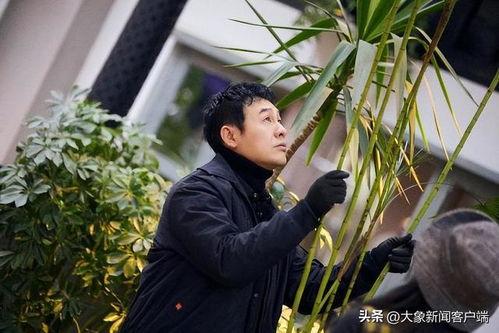 娱乐吃瓜酱张颂文